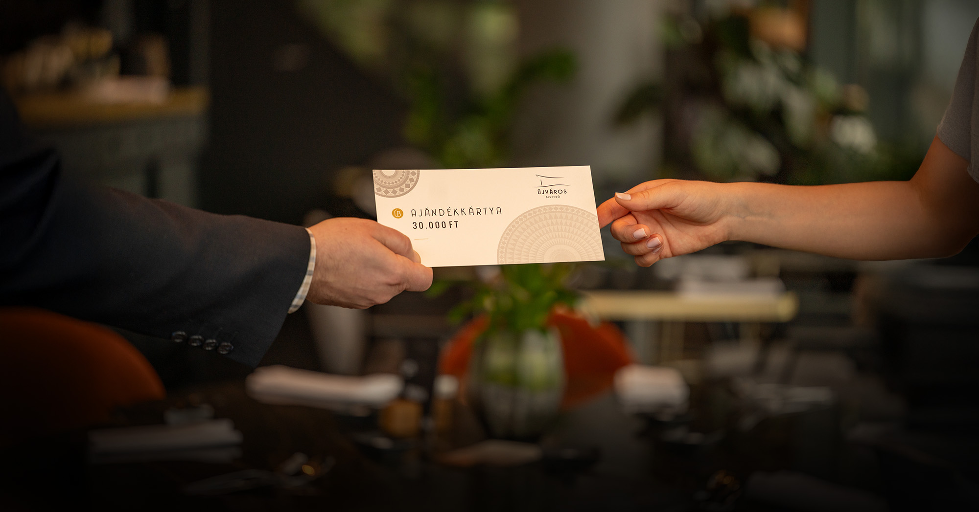 Újváros Bisztró - Innovatív kortárs magyar fine dining étterem